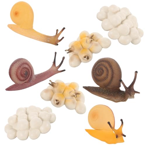 KOMBIUDA 2 Sätze Schnecken Wachstumszyklus Realistische Plastik Schneckenmodelle Lernspielzeug Bildungsfiguren Simulation Lebenszyklus Entwicklung von KOMBIUDA