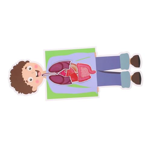 KOMBIUDA 2 Sets Menschliches Organmodell Kinderspielzeug DIY Modell Kleinkind Bastelspielzeug DIY Experimentierbedarf DIY Zubehör DIY Für Kleinkind DIY DIY Kit Papier KOMBIUDA 2 Sets Menschliches Organmodell Kinderspielzeug DIY Modell Kleinkind Bastelspielzeug DIY Experimentierbedarf DIY Zubehör DIY Für Kleinkind DIY DIY Kit Papier von KOMBIUDA