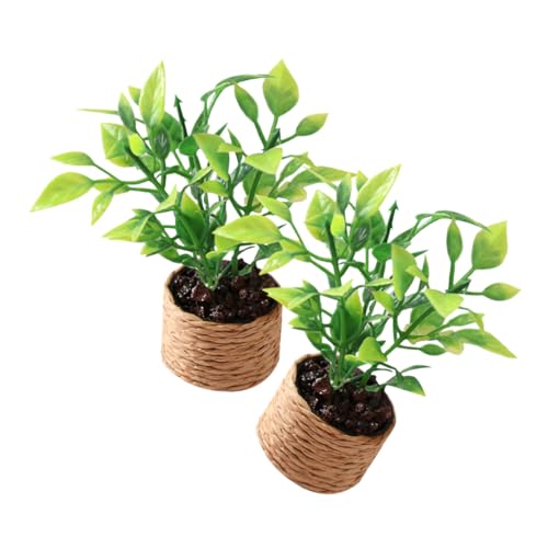 KOMBIUDA 2 Stück Mini-Orangenbaum Mini -Gartendekoration Topfspielzeug kleine Topfornamente Miniaturpflanzen Kleine künstliche Pflanzen Miniatur-Topfpflanzen Mini-Pflanzenspielzeug Plastik KOMBIUDA 2 Stück Mini-Orangenbaum Mini -Gartendekoration Topfspielzeug kleine Topfornamente Miniaturpflanzen Kleine künstliche Pflanzen Miniatur-Topfpflanzen Mini-Pflanzenspielzeug Plastik von KOMBIUDA