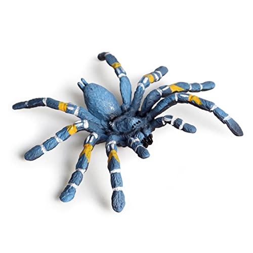 KOMBIUDA 2 Stücke Reptil Modell Mini Spinne Modell Reptil von KOMBIUDA