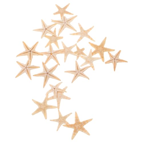 KOMBIUDA 20 Stück Kerzen tropfende Dekoration Bleistift Finger Seestern Mini natürlicher Seestern DIY Seestern Handwerk Meeresstern Mini-Seestern Natürliche Zutaten von KOMBIUDA