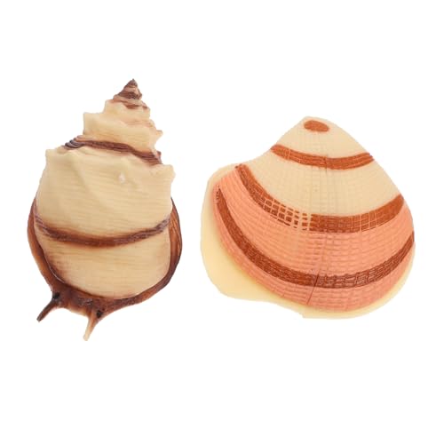 KOMBIUDA 2St Simulation Muschelmuschel weltbild für Muschelschale Figur Handwerk Muschelschalenmodell hochzeitsdeko Meereslebewesen-Modell Wissenschaft kognitives KOMBIUDA 2St Simulation Muschelmuschel weltbild für Muschelschale Figur Handwerk Muschelschalenmodell hochzeitsdeko Meereslebewesen-Modell Wissenschaft kognitives von KOMBIUDA