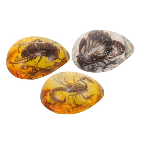 KOMBIUDA 3 Stück Insekten Bernstein Anhänger Echte Insekten im Harz DIY Dekoration für Sammler Schmetterling und Biene für Kreative Projekte und Ausstellungen KOMBIUDA 3 Stück Insekten Bernstein Anhänger Echte Insekten im Harz DIY Dekoration für Sammler Schmetterling und Biene für Kreative Projekte und Ausstellungen von KOMBIUDA