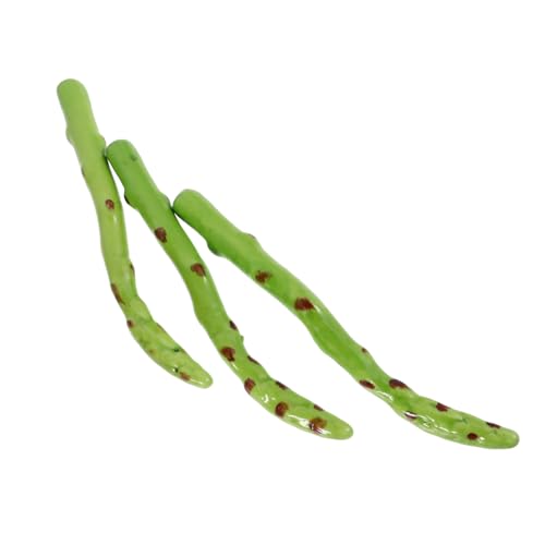KOMBIUDA 3-teiliges Kunstgemüse Spargelmodell Simulationsrequisiten Dekoration Für Zuhause Küche Party KOMBIUDA 3-teiliges Kunstgemüse Spargelmodell Simulationsrequisiten Dekoration Für Zuhause Küche Party von KOMBIUDA