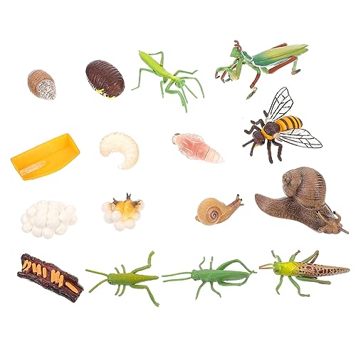 KOMBIUDA 4 Set Pädagogische Simulation Modell Wachstum Zyklus Mini Ornament Figur Modell Spielzeug Für Jungen Und Mädchen KOMBIUDA 4 Set Pädagogische Simulation Modell Wachstum Zyklus Mini Ornament Figur Modell Spielzeug Für Jungen Und Mädchen von KOMBIUDA