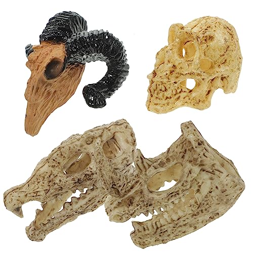 KOMBIUDA 4 Stücke Tiere Schädel Miniatur Schädel Figuren Für Puppenhaus KOMBIUDA 4 Stücke Tiere Schädel Miniatur Schädel Figuren Für Puppenhaus von KOMBIUDA