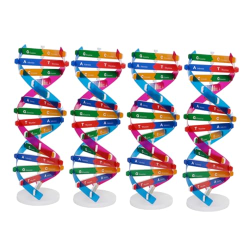 KOMBIUDA 4 Stück Teiliges DNA Doppelhelix Modell Stabiler DIY Bausatz mit Detaillierter Gen Struktur Biologisches Lernspielzeug für Schüler Anschauliches Lehrmaterial für Biologieunterricht KOMBIUDA 4 Stück Teiliges DNA Doppelhelix Modell Stabiler DIY Bausatz mit Detaillierter Gen Struktur Biologisches Lernspielzeug für Schüler Anschauliches Lehrmaterial für Biologieunterricht von KOMBIUDA