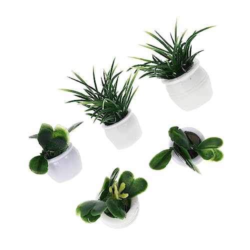 KOMBIUDA 5St Puppenhaus Topfpflanze Leute aus dem Puppenhaus Mini-Topfpflanze Blumenmodell kleine Figuren Dollhouse Accessories Dollhouse zubehör Miniaturdekore Mini-Bonsai Plastik KOMBIUDA 5St Puppenhaus Topfpflanze Leute aus dem Puppenhaus Mini-Topfpflanze Blumenmodell kleine Figuren Dollhouse Accessories Dollhouse zubehör Miniaturdekore Mini-Bonsai Plastik von KOMBIUDA
