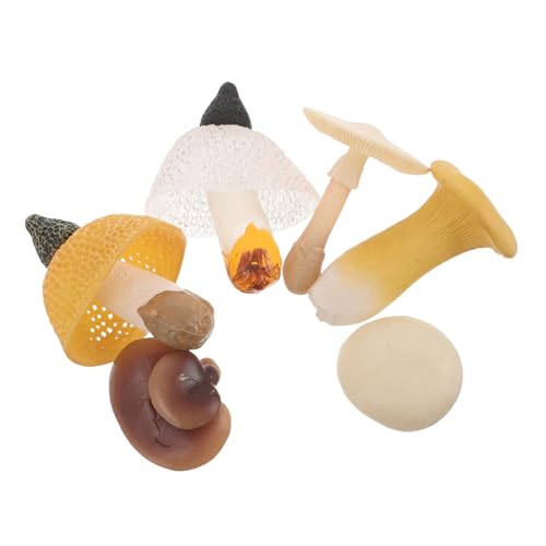 KOMBIUDA 6 Stück Realistische Simulation von Gemüsefiguren für Frühkindliche Bildung Fotografie Dekoration und Kreative Szenen KOMBIUDA 6 Stück Realistische Simulation von Gemüsefiguren für Frühkindliche Bildung Fotografie Dekoration und Kreative Szenen von KOMBIUDA