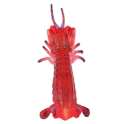 KOMBIUDA Abnutzungsbeständiges Sensorik Tiermodell Mantis Shrimp Figur Lernspielzeug Zubehör für Interaktives und Kreative Tierweltgestaltung von KOMBIUDA