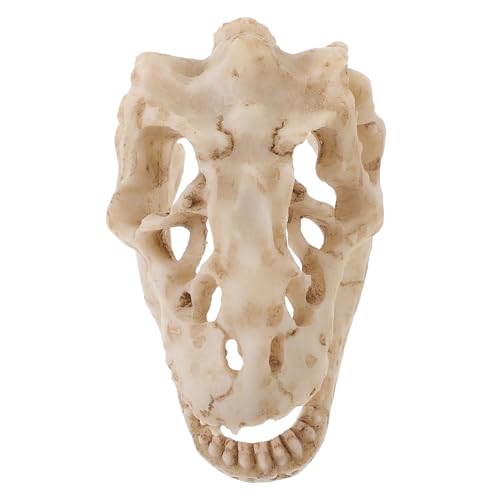 KOMBIUDA Detailliertes Dinosaurier Schädelmodell aus Resin Kleines Reptilien Realistische Prähistorische Schädel Dekoration für Terrarien Schreibtisch Sammler und Dinosaurierfans von KOMBIUDA