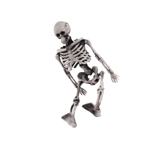 KOMBIUDA Halloween Mini Skelett Modell Realistisches Flexibles Knochengerüst Dekoratives Gruselspielzeug für Halloween Party Karneval Geisterhaus und Kindergeburtstag von KOMBIUDA