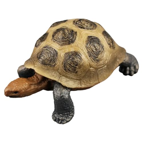 KOMBIUDA Künstliche Schildkröte Figurine aus Kunststoff Realistische Deko für Kinderzimmer und Garten Lernspielzeug für Junge und Dekoration KOMBIUDA Künstliche Schildkröte Figurine aus Kunststoff Realistische Deko für Kinderzimmer und Garten Lernspielzeug für Junge und Dekoration von KOMBIUDA