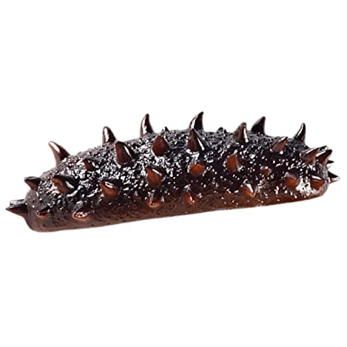 KOMBIUDA Künstliche Seegurke Gefälschte Modell Meeresfrüchte Realistische Requisite Foto Desktop Seegurke Pädagogische Seegurke Seegurke Lebensechte Seeschnecken Figurine PVC KOMBIUDA Künstliche Seegurke Gefälschte Modell Meeresfrüchte Realistische Requisite Foto Desktop Seegurke Pädagogische Seegurke Seegurke Lebensechte Seeschnecken Figurine PVC von KOMBIUDA
