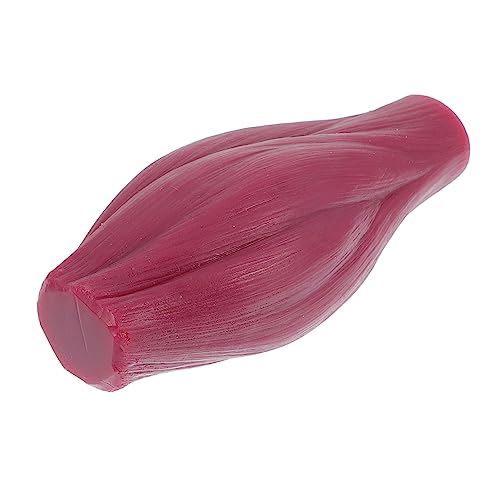 KOMBIUDA Lb Muskelmodell Realistisch Anatomisches Lehrmodell ohne Sockel für Anschaulichen Unterricht und Anschauliche Darstellung von Muskelstruktur KOMBIUDA Lb Muskelmodell Realistisch Anatomisches Lehrmodell ohne Sockel für Anschaulichen Unterricht und Anschauliche Darstellung von Muskelstruktur von KOMBIUDA