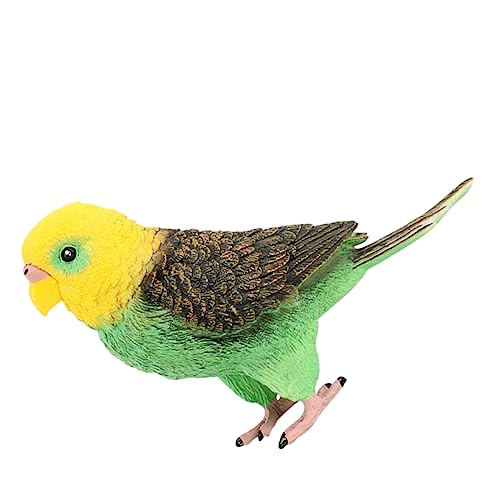 KOMBIUDA Wellensittich Modell Aus Kunststoff Für Junge Mädchen Zum Lernen Von Tierarten Realistisch Und Exquisit Für Fantasie Und Kreativität Geeignet Vogel Ornament Für Dekoration KOMBIUDA Wellensittich Modell Aus Kunststoff Für Junge Mädchen Zum Lernen Von Tierarten Realistisch Und Exquisit Für Fantasie Und Kreativität Geeignet Vogel Ornament Für Dekoration von KOMBIUDA