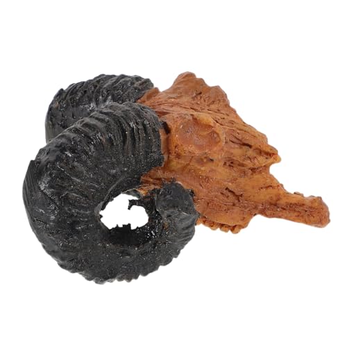 KOMBIUDA Micro Landscape Ziegenschädel Tierstatuen Tierische Wandskulptur Ziegendekor Mini- -Ornamente Schaf-schädel-Dekoration Halloween-schädel- Schädelfiguren Harz von KOMBIUDA