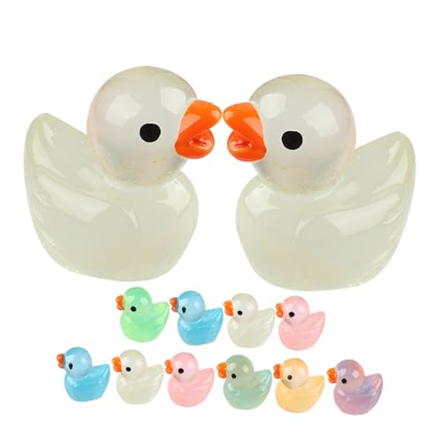 KOMBIUDA 12stücke Mini Enten Figuren Deko Miniatur Gummienten Für Garten Balkon Und Mikrolandschaften Für Und Von Miniaturdekorationen von KOMBIUDA