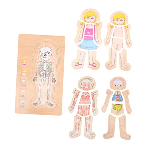 KOMBIUDA Multilayer Holzpuzzle Menschliche Körperstruktur Pädagogisches für Jungen und Mädchen Fördert Intelligenz und Kognitive Fähigkeiten Langlebig und Sicher für Frühe Bildung KOMBIUDA Multilayer Holzpuzzle Menschliche Körperstruktur Pädagogisches für Jungen und Mädchen Fördert Intelligenz und Kognitive Fähigkeiten Langlebig und Sicher für Frühe Bildung von KOMBIUDA