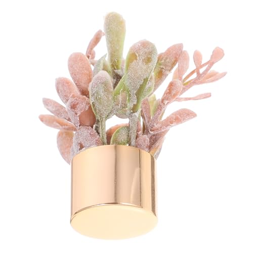 KOMBIUDA Puppenhaus Blumentopf Kunstpflanze Pflanzen Deko Winzige Sukkulententöpfe Miniatur Bonsai Mini-sukkulenten in Masse Miniatur -topfpflanze Mini-topfpflanze Coffee Plastik von KOMBIUDA