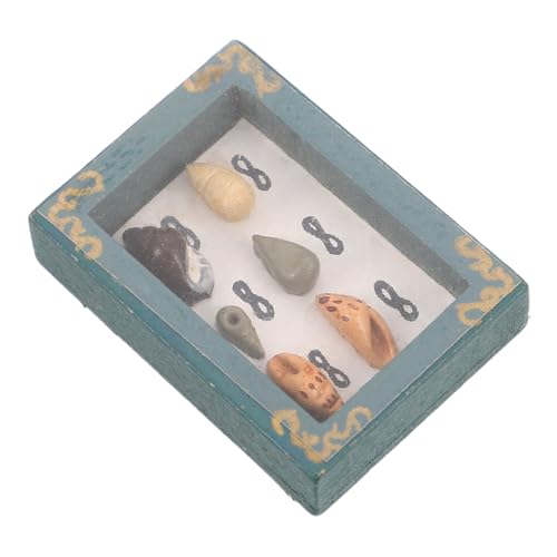 KOMBIUDA 1stücke Miniatur -kit Mit Grüner Muschelbox Aufbewahrung Und Präsentation Kleiner Sammlerstücke Mikroszenen Für Kreative Bastelprojekte von KOMBIUDA