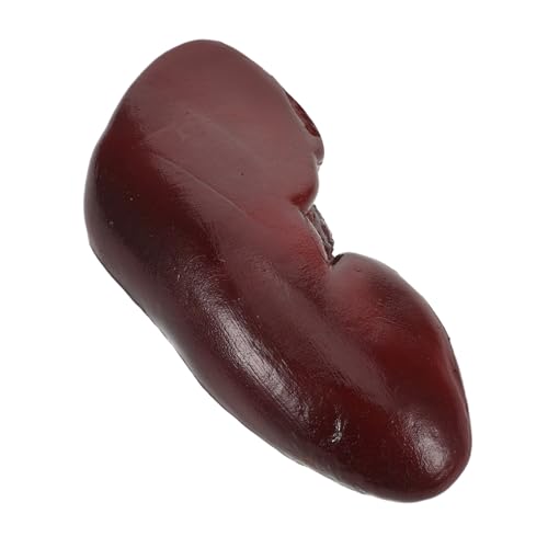 KOMBIUDA Realistisches Schweine-nieren Requisit Halloween Deko Prank Cosplay Zubehör für Gruselhäuser Party Props Lebensnahes Fake Organ Langlebig und Fotogen KOMBIUDA Realistisches Schweine-nieren Requisit Halloween Deko Prank Cosplay Zubehör für Gruselhäuser Party Props Lebensnahes Fake Organ Langlebig und Fotogen von KOMBIUDA