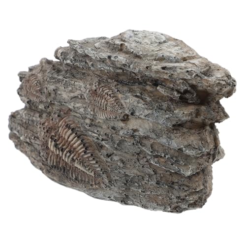 KOMBIUDA Resin Trilobite Dekoration Kompakt Leicht Paläontologisches Sammlerstück Lehrmittel für Wissenschaftsunterricht und Wohnraumgestaltung von KOMBIUDA