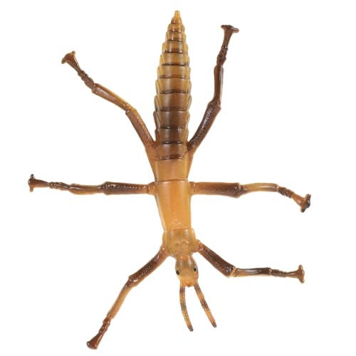 KOMBIUDA Stabheuschrecken Modell Kleinkindspielzeug Gefälschte Mini Tierspielzeug Realistisches Kinderspielzeug Pädagogisches Stabheuschrecken Interessantes Kinderspielzeug KOMBIUDA Stabheuschrecken Modell Kleinkindspielzeug Gefälschte Mini Tierspielzeug Realistisches Kinderspielzeug Pädagogisches Stabheuschrecken Interessantes Kinderspielzeug von KOMBIUDA