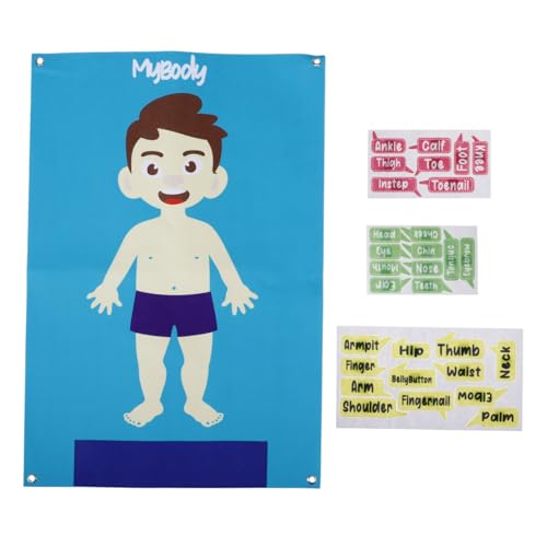 KOMBIUDA Tafel Zur Struktur des Menschlichen Körpers Filztafel Zum Lernen Im Vorschulalter Filztafel Zur Aktivität Im Vorschulalter Modell des Menschlichen Körpers Für Poster des KOMBIUDA Tafel Zur Struktur des Menschlichen Körpers Filztafel Zum Lernen Im Vorschulalter Filztafel Zur Aktivität Im Vorschulalter Modell des Menschlichen Körpers Für Poster des von KOMBIUDA