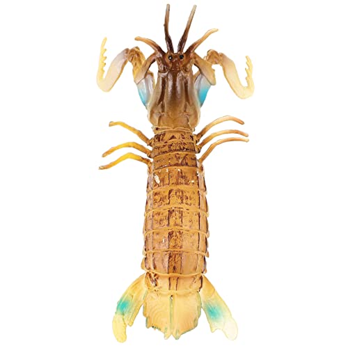 KOMBIUDA Tiermodell Mantis Shrimp Langlebiges Sensorisches Zubehör für Kleine Dekoratives und Pädagogisches als Geburtstagsgeschenk von KOMBIUDA