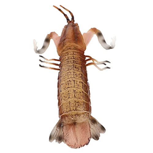 KOMBIUDA Vivid Sensorisches Tiermodell Lernen Mantis Shrimp Figur Abnutzungsfest Geburtstagsgeschenk für Mädchen Jungen Kreatives Lernspielzeug von KOMBIUDA