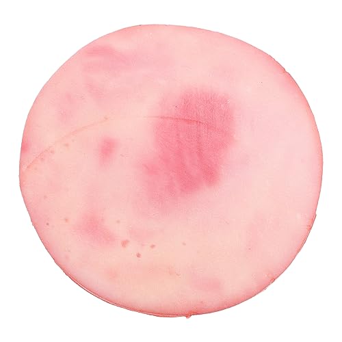 KOMBIUDA gefälschte Mittagsfleischdekoration tischdeko esstisch Kunstliches Fleischmodell Simulation gefälschte Essensrequisite gefälschter Fisch gefälschtes Essen Party-Requisite PVC von KOMBIUDA