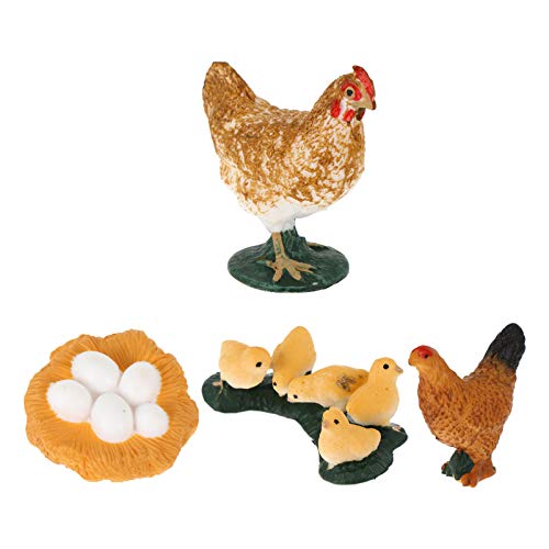 KONTONTY 1 Heuschrecken-Wachstums zyklus für lebenszyklus Miniaturen kinderspielzeug SIM Wachstumszyklus- -Kit Wachstumszyklusfiguren Plastik von KONTONTY