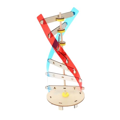 KONTONTY 1 Satz DNA Modell aus Holz DIY Doppelhelix Struktur Wissenschaftliches Lernspielzeug für Fördert Problemlösungsfähigkeiten und Interesse an für Bildung und Experimentierzwecke KONTONTY 1 Satz DNA Modell aus Holz DIY Doppelhelix Struktur Wissenschaftliches Lernspielzeug für Fördert Problemlösungsfähigkeiten und Interesse an für Bildung und Experimentierzwecke von KONTONTY