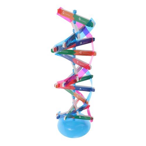 KONTONTY Selbstorganisierender DNA-modellbausatz Doppelhelix-Struktur Wissenschaftliche Lehrmittel Für Biologie Für Schüler Molekulares Lernspielzeug KONTONTY Selbstorganisierender DNA-modellbausatz Doppelhelix-Struktur Wissenschaftliche Lehrmittel Für Biologie Für Schüler Molekulares Lernspielzeug von KONTONTY