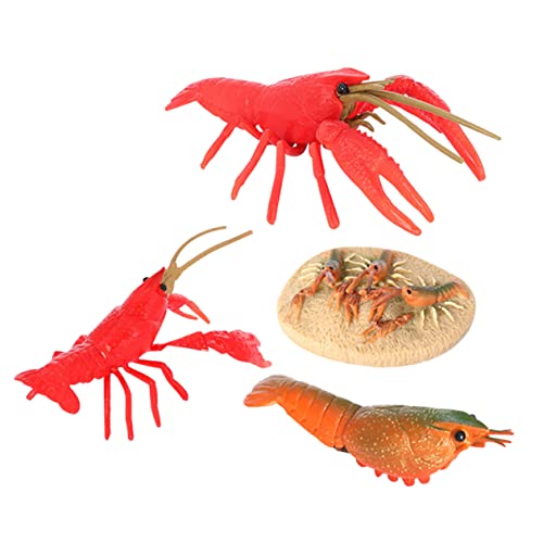 KONTONTY Pädagogisches Krebsspielzeug Lebenszyklus-Spielzeug Realistische Insektenfiguren Für Jungen Und Mädchen Die Lernen KONTONTY Pädagogisches Krebsspielzeug Lebenszyklus-Spielzeug Realistische Insektenfiguren Für Jungen Und Mädchen Die Lernen von KONTONTY