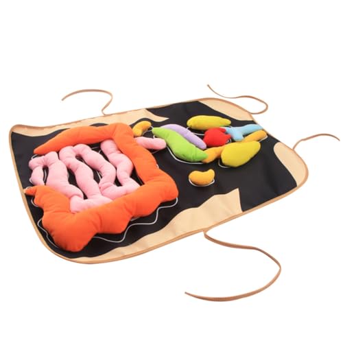 KONTONTY 1 Satz Kognitives Für Die Frühe Bildung Lernen Schürze Unterrichtsschürze Bildungsschürze 3D Organe Schürze des Menschlichen Körpers Kinderspielzeug Polyester KONTONTY 1 Satz Kognitives Für Die Frühe Bildung Lernen Schürze Unterrichtsschürze Bildungsschürze 3D Organe Schürze des Menschlichen Körpers Kinderspielzeug Polyester von KONTONTY