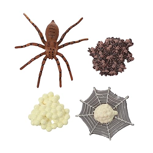 KONTONTY Satz Modell Wachstumszyklus Spinnen Insekten Miniatur Ebene Lernspielzeug Kunststoff Verarbeitung Langlebig KONTONTY Satz Modell Wachstumszyklus Spinnen Insekten Miniatur Ebene Lernspielzeug Kunststoff Verarbeitung Langlebig von KONTONTY