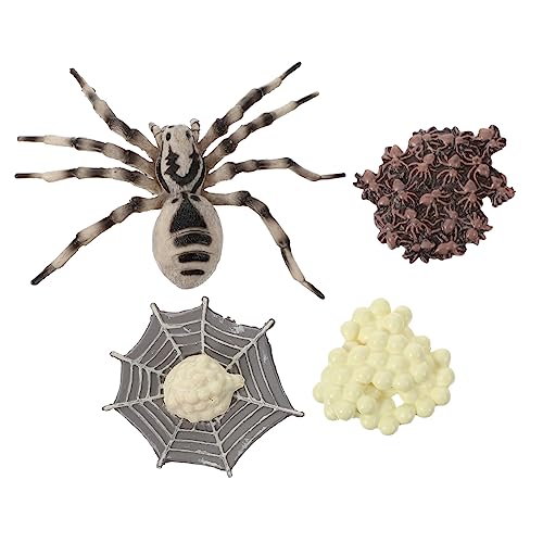 KONTONTY 1 Satz Kognitives Modell des Lebens Tarantel-Ornament Tarantula-Display-Modell Vogelspinne Miniaturmodell Figurenmodell Evolutionsmodell Ausstellungsmodell Plastik von KONTONTY