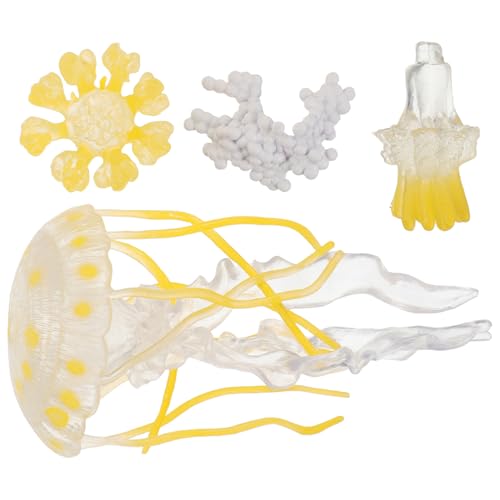 KONTONTY 1 Satz Quallen-Ornamente Lebenszyklus-lernspielzeug Kleine Meerestierfiguren Vorschulspielzeug Kognitives Modell Der Tiere Ozeantierfiguren Kinderspielzeug Tiere Für Plastik von KONTONTY