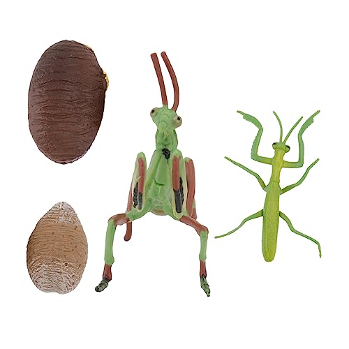 KONTONTY Mantis Modell Figur Spielzeug Aus Pädagogisches Material Ornament Für Kind Kompakt Leicht Geburtstag Party KONTONTY Mantis Modell Figur Spielzeug Aus Pädagogisches Material Ornament Für Kind Kompakt Leicht Geburtstag Party von KONTONTY