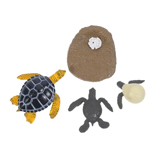 KONTONTY 1 Satz tierischer Wachstumszyklus schildkröte für Lebendige Heimdekoration flurmöbeln Ornamente für den Wachstumszyklus von Tieren pädagogisches Plastik KONTONTY 1 Satz tierischer Wachstumszyklus schildkröte für Lebendige Heimdekoration flurmöbeln Ornamente für den Wachstumszyklus von Tieren pädagogisches Plastik von KONTONTY