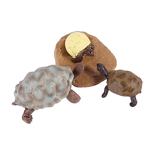 KONTONTY 1 Wachstumszyklus Der Schildkröte Wachstumszyklus Wachstumszyklusfiguren Lebenszyklus Wachstumszyklus Lebenszyklus-Ornamente Lebenszyklus Plastik KONTONTY 1 Wachstumszyklus Der Schildkröte Wachstumszyklus Wachstumszyklusfiguren Lebenszyklus Wachstumszyklus Lebenszyklus-Ornamente Lebenszyklus Plastik von KONTONTY