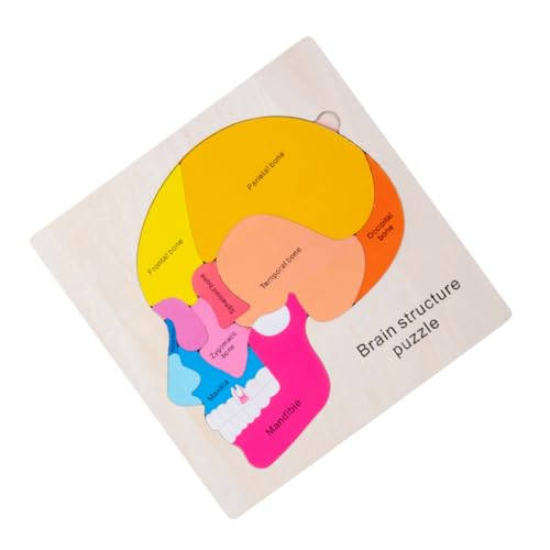 KONTONTY 1Satz Gehirnstruktur Puzzle für Holzspielzeug Logischem Kreativität und Praktischen Fähigkeiten Vorschulspielzeug zur Spielerischen Entdeckung von KONTONTY
