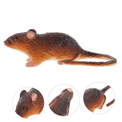 KONTONTY 2 Stück Lifelike Kindersicheres Verschleißfestes Modell Realistisches Ratten Design Halloween Party Deko Lustiges Scherzartikel für Originelles Lernspielzeug von KONTONTY