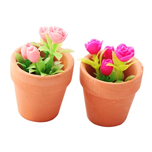 KONTONTY 2 Stück Miniature Potted Plant Dekorative Blumen für Puppenhaus Realistische Pflanzen für DIY Puppenhaus Zubehör und Deko KONTONTY 2 Stück Miniature Potted Plant Dekorative Blumen für Puppenhaus Realistische Pflanzen für DIY Puppenhaus Zubehör und Deko von KONTONTY