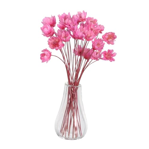 KONTONTY 2 Stück Miniaturvasen Ornamente Minivase Puppenhaus Süße Blumenvase Puppenhaus Getrocknete Blumen Getrockneter Blumenstrauß Mini Topfblumen von KONTONTY