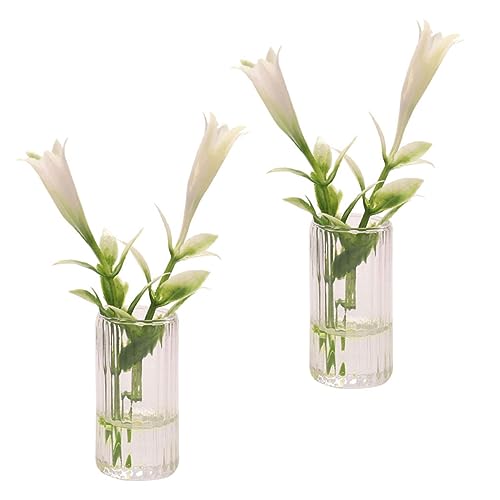 KONTONTY 2 Stück Nachgemachte Pflanzen Miniaturvase Für Landschaftsgestaltung Miniaturvase Blume Miniatur Lilie Miniaturhaus Desktop - Gefälscht Kleine Vase Figuren Weiß Plastik KONTONTY 2 Stück Nachgemachte Pflanzen Miniaturvase Für Landschaftsgestaltung Miniaturvase Blume Miniatur Lilie Miniaturhaus Desktop - Gefälscht Kleine Vase Figuren Weiß Plastik von KONTONTY