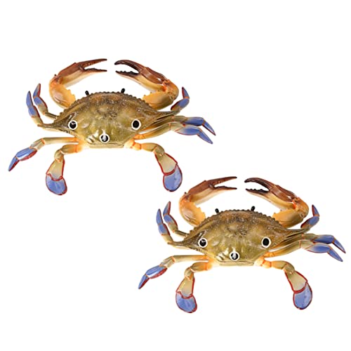KONTONTY 2 Stück Simulationskrabbenmodell Künstliches Krabbenmodell Gefälschte Krabbe Lebensechte Künstliche Krabbe Pädagogisches Künstliche Krabben Kognitives Plastik von KONTONTY