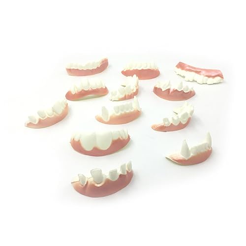 KONTONTY 24 Stück hässliche zähne Kostüm lustig Reißzähne Streich Zahn gefälscht Fake zähne Fake Teeth Fasching Accessoires False Party -Requisiten Halloween-Zähne aus Kunststoff Weiß von KONTONTY